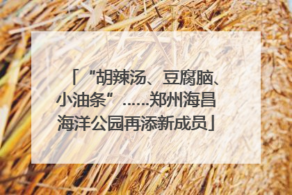 “胡辣汤、豆腐脑、小油条”……郑州海昌海洋公园再添新成员
