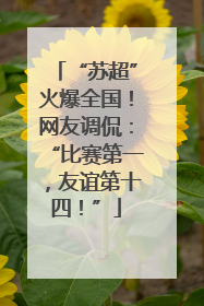 “苏超”火爆全国！网友调侃：“比赛第一，友谊第十四！”