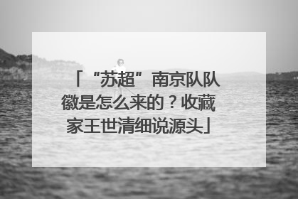 “苏超”南京队队徽是怎么来的？收藏家王世清细说源头