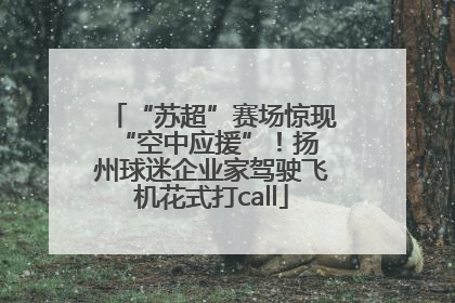 “苏超”赛场惊现 “空中应援”！扬州球迷企业家驾驶飞机花式打call
