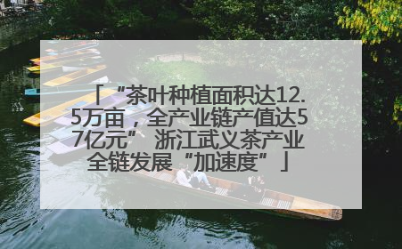 “茶叶种植面积达12.5万亩，全产业链产值达57亿元” 浙江武义茶产业全链发展“加速度”