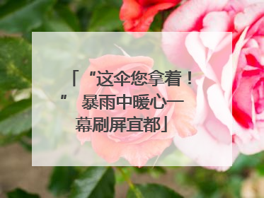 “这伞您拿着！” 暴雨中暖心一幕刷屏宜都