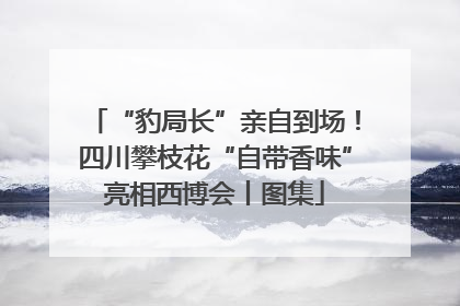 “豹局长”亲自到场！四川攀枝花“自带香味”亮相西博会丨图集