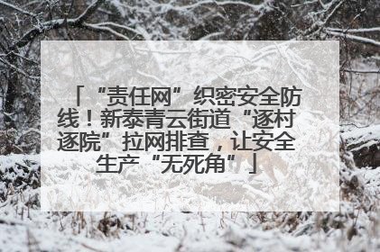“责任网”织密安全防线！新泰青云街道“逐村逐院”拉网排查，让安全生产“无死角”