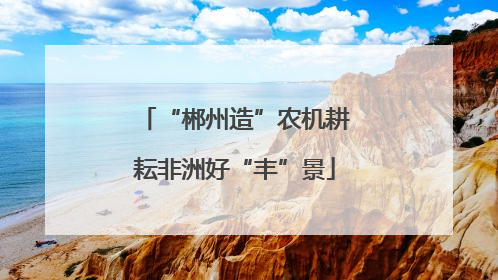 “郴州造”农机耕耘非洲好“丰”景