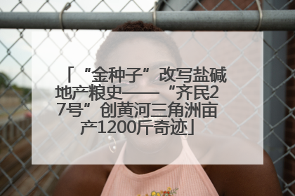 “金种子”改写盐碱地产粮史——“齐民27号”创黄河三角洲亩产1200斤奇迹