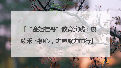 “金姐桂哥”教育实践：赓续禾下初心，志愿聚力前行