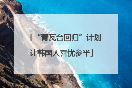 “青瓦台回归”计划让韩国人喜忧参半