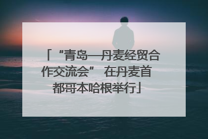 “青岛—丹麦经贸合作交流会” 在丹麦首都哥本哈根举行