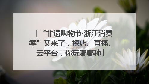 “非遗购物节·浙江消费季”又来了，探店、直播、云平台，你玩哪哪种