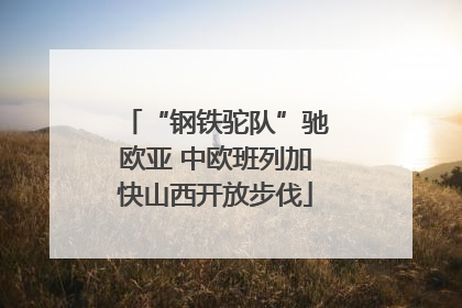 “钢铁驼队”驰欧亚 中欧班列加快山西开放步伐