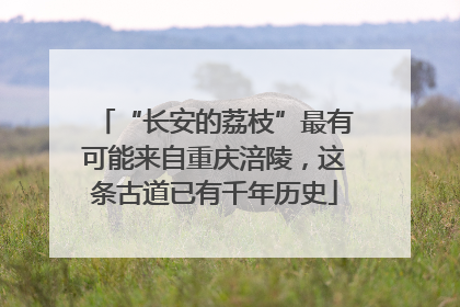 “长安的荔枝”最有可能来自重庆涪陵，这条古道已有千年历史