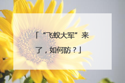 “飞蚁大军”来了，如何防？