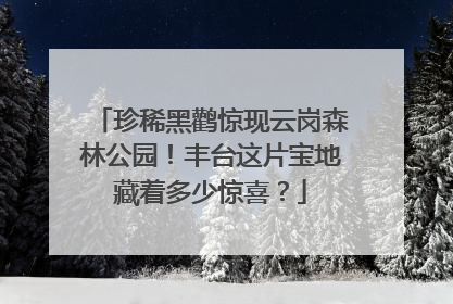 珍稀黑鹳惊现云岗森林公园！丰台这片宝地藏着多少惊喜？