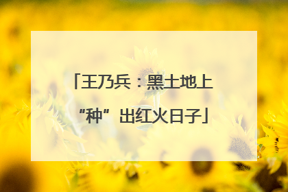 王乃兵：黑土地上“种”出红火日子