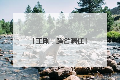 王刚，跨省调任