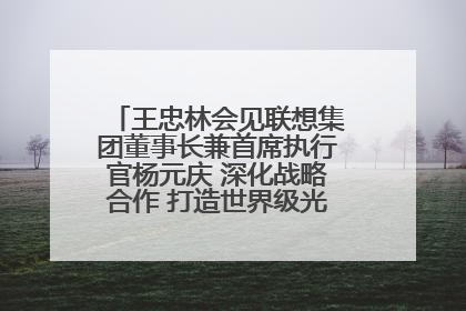 王忠林会见联想集团董事长兼首席执行官杨元庆 深化战略合作 打造世界级光电子信息产业集群