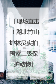 现场直击！湖北竹山护林员实拍国家二级保护动物