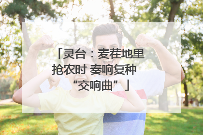 灵台：麦茬地里抢农时 奏响复种“交响曲”
