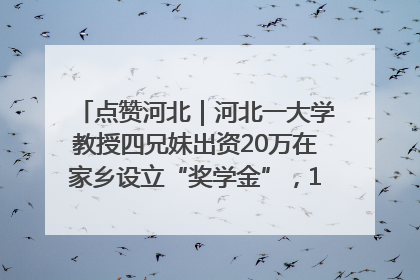 点赞河北｜河北一大学教授四兄妹出资20万在家乡设立“奖学金”，13年为320名农村学生种下“希望的种子”