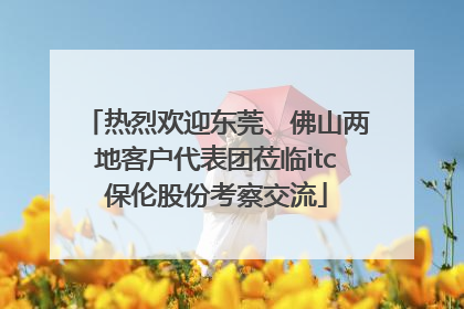 热烈欢迎东莞、佛山两地客户代表团莅临itc保伦股份考察交流