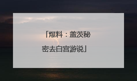 爆料：盖茨秘密去白宫游说