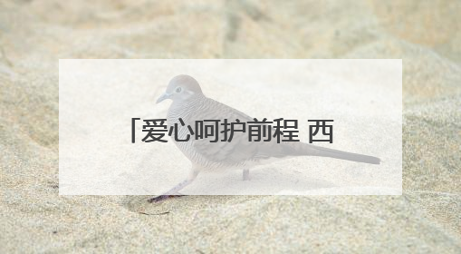 爱心呵护前程 西宁交通文艺广播第二十届爱心送考公益活动正式开启