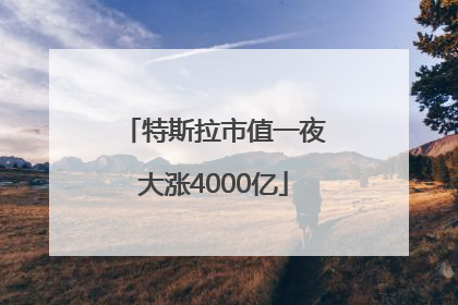 特斯拉市值一夜大涨4000亿