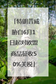 特朗普威胁自6月1日起对欧盟商品征收50%关税