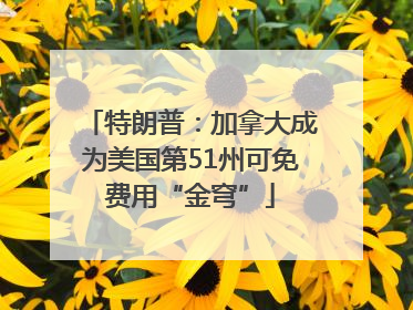 特朗普：加拿大成为美国第51州可免费用“金穹”