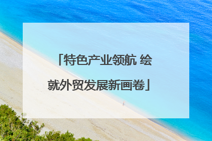 特色产业领航 绘就外贸发展新画卷