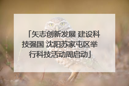 矢志创新发展 建设科技强国 沈阳苏家屯区举行科技活动周启动