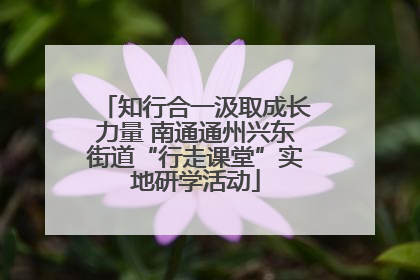 知行合一汲取成长力量 南通通州兴东街道“行走课堂”实地研学活动