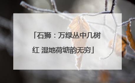 石狮：万绿丛中几树红 湿地荷塘韵无穷