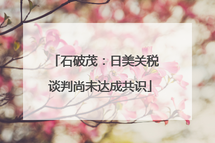 石破茂：日美关税谈判尚未达成共识