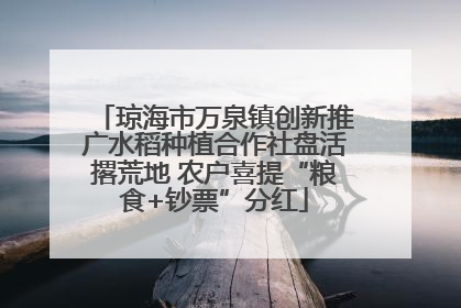 琼海市万泉镇创新推广水稻种植合作社盘活撂荒地 农户喜提“粮食+钞票”分红