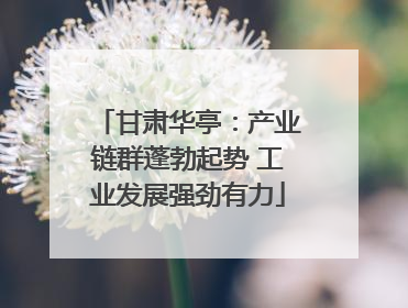 甘肃华亭：产业链群蓬勃起势 工业发展强劲有力