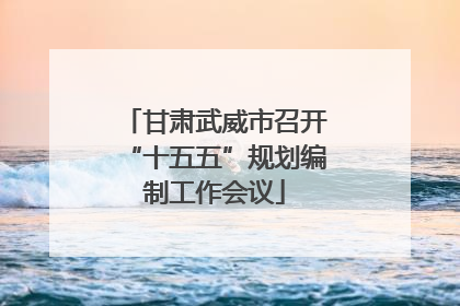 甘肃武威市召开“十五五”规划编制工作会议