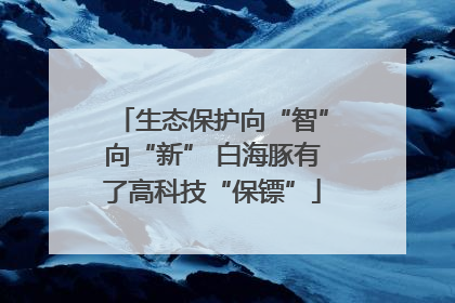 生态保护向“智”向“新” 白海豚有了高科技“保镖”