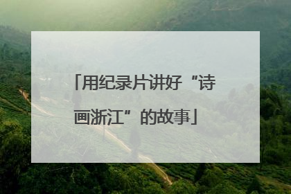 用纪录片讲好“诗画浙江”的故事