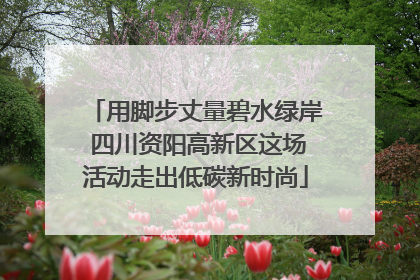 用脚步丈量碧水绿岸 四川资阳高新区这场活动走出低碳新时尚