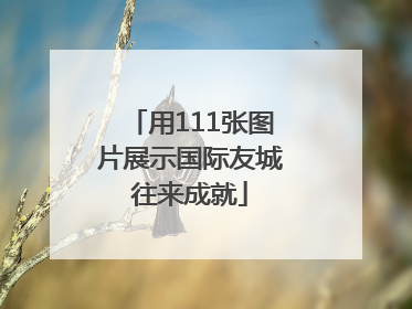 用111张图片展示国际友城往来成就