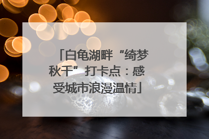 白龟湖畔“绮梦秋千”打卡点：感受城市浪漫温情