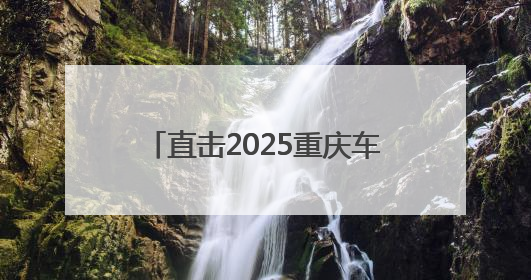 直击2025重庆车展：千余款新车型亮相 歼-10C战斗机与人形机器人引关注