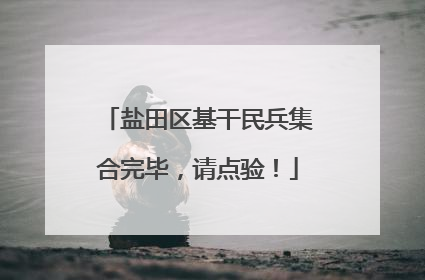 盐田区基干民兵集合完毕，请点验！