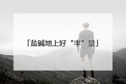 盐碱地上好“丰”景