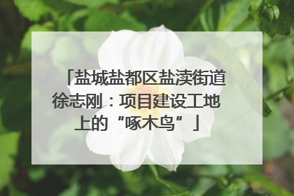 盐城盐都区盐渎街道徐志刚：项目建设工地上的“啄木鸟”