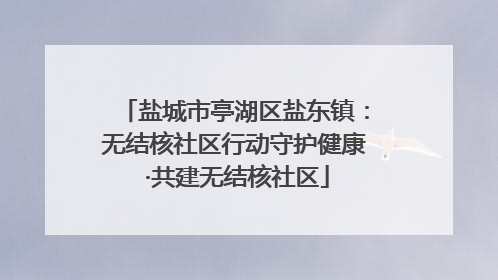 盐城市亭湖区盐东镇：无结核社区行动守护健康 ·共建无结核社区