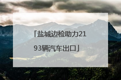 盐城边检助力2193辆汽车出口