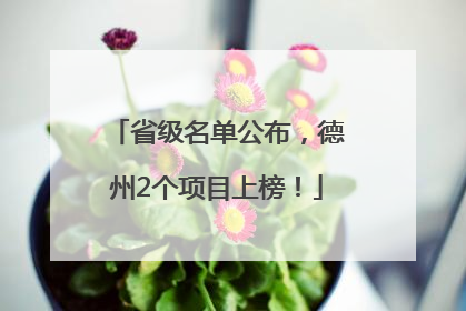 省级名单公布，德州2个项目上榜！
